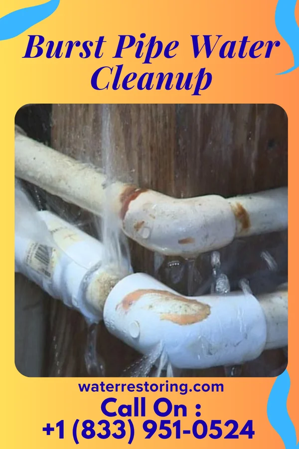 Burst Pipe Water Cleanup in Lincoln Park, PA