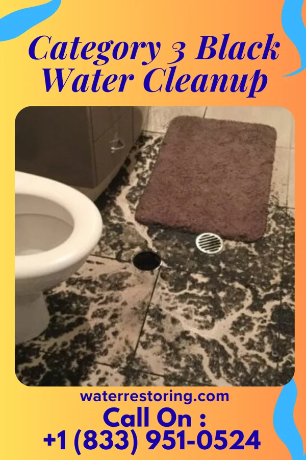 Category 3 Black Water Cleanup in Lincoln Park, PA