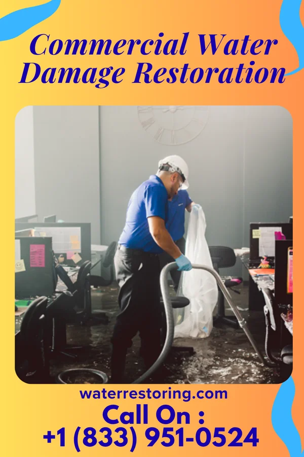 Commercial Water Damage Restoration in Lincoln Park, PA