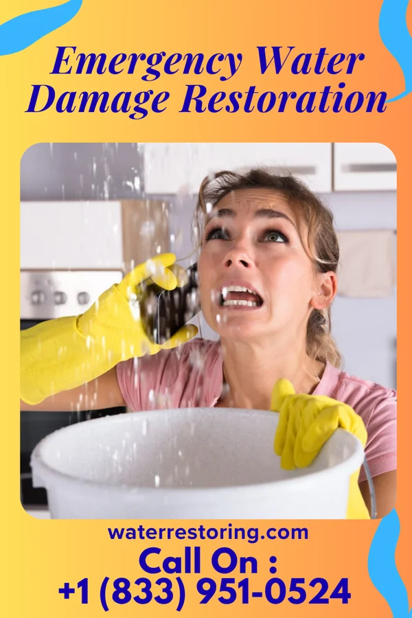 Emergency Water Damage Restoration in Lincoln Park, PA