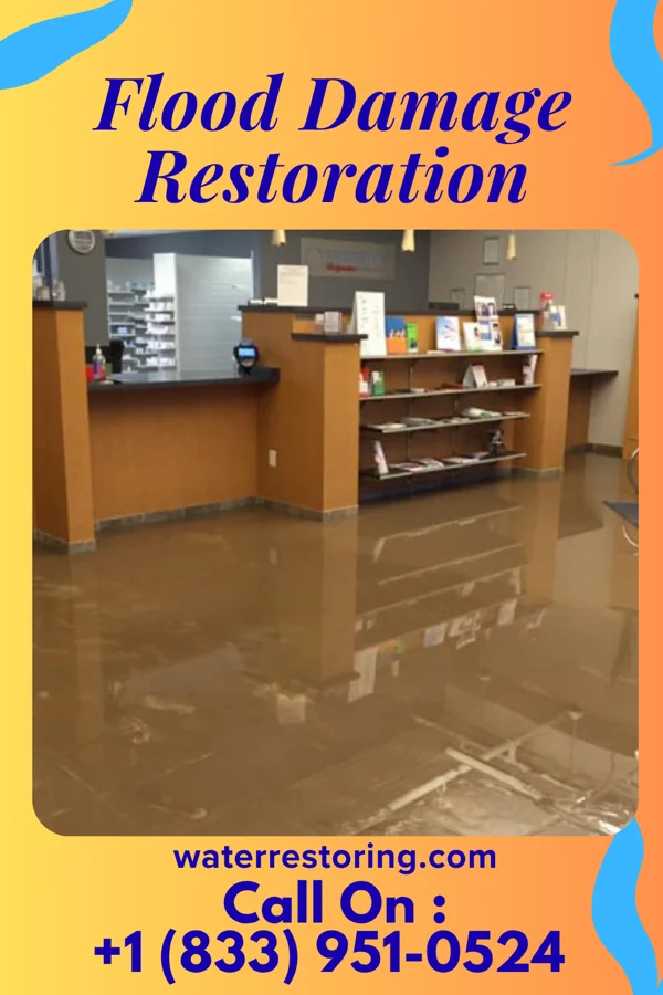 Flood Damage Restoration in Lincoln Park, PA