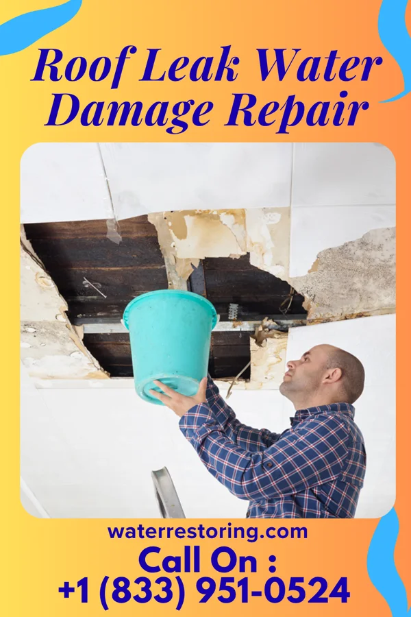 Roof Leak Water Damage Repair in Lincoln Park, PA