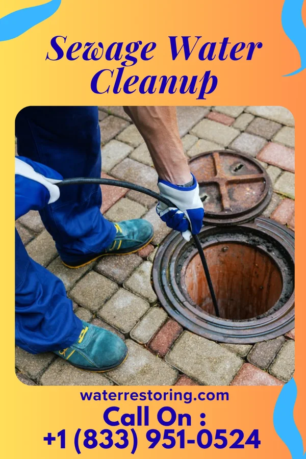 Sewage Water Cleanup in Lincoln Park, PA