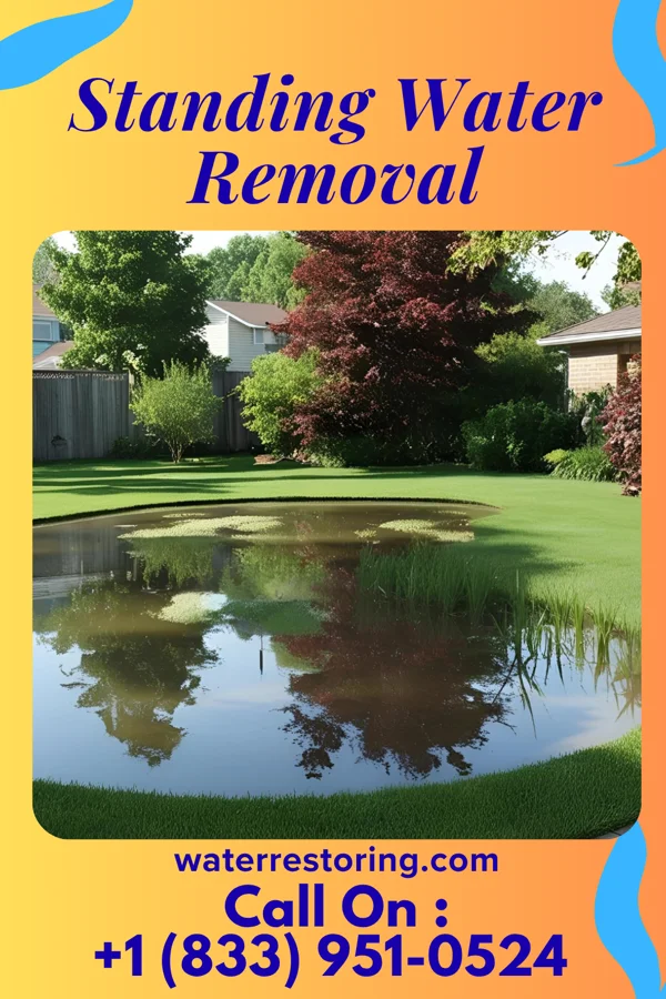 Standing Water Removal in Lincoln Park, PA